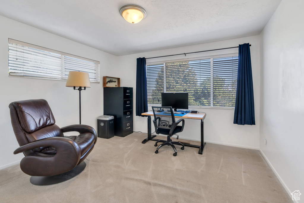 Office space with carpet and baseboards