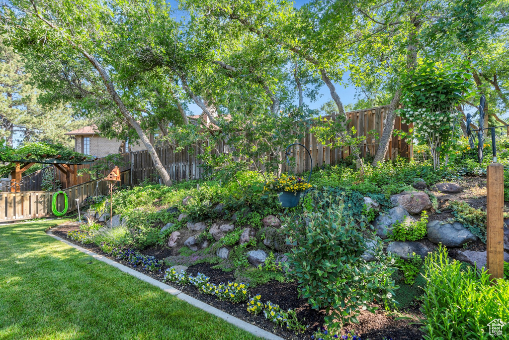 View of fenced backyard