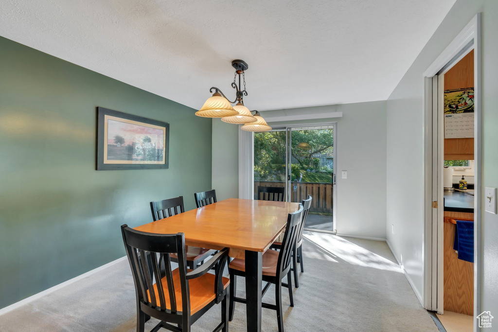 Dining space featuring carpet