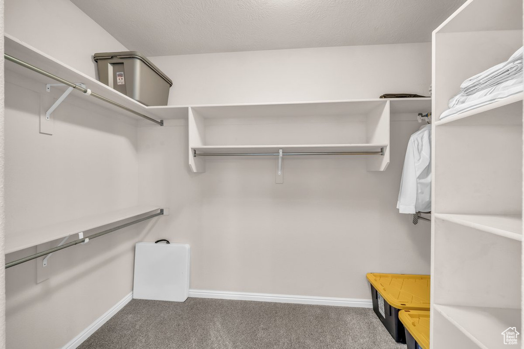 Spacious closet with carpet floors