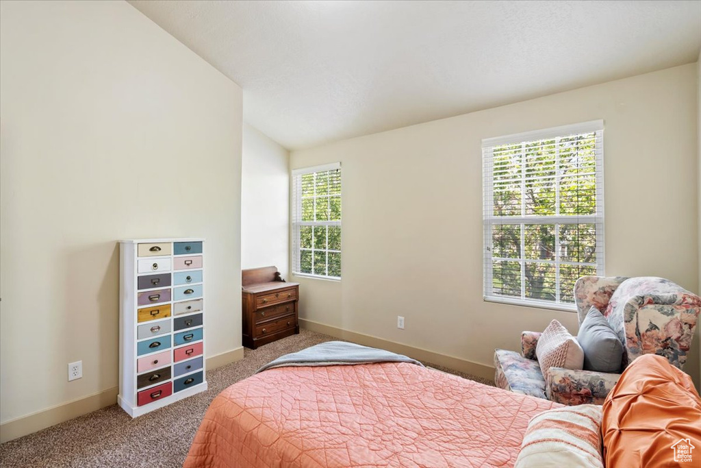 4257 W LAKE BRIDGE DR South Jordan, UT 84009