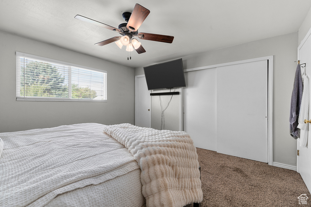 Carpeted bedroom featuring a ceiling fan and a closet