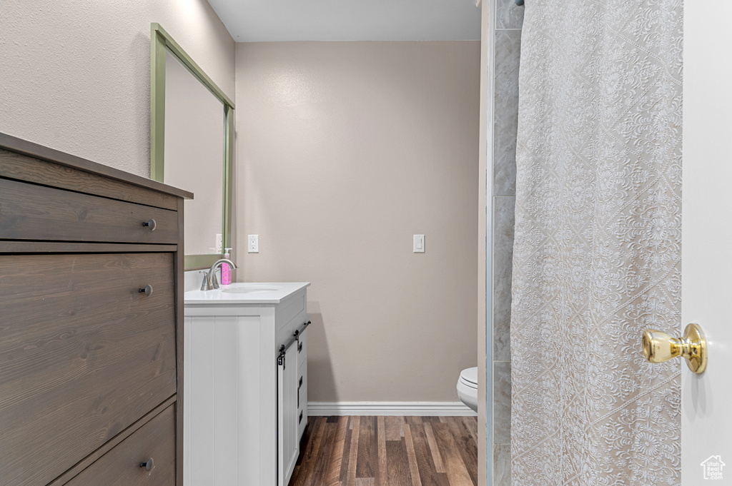 Bathroom featuring vanity, wood finished floors, and a shower with shower curtain
