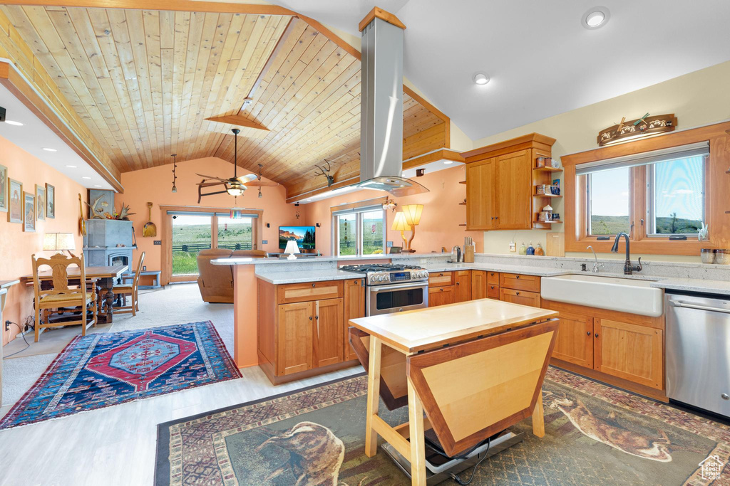 Kitchen with stainless steel appliances, a peninsula, island exhaust hood, lofted ceiling, and light countertops