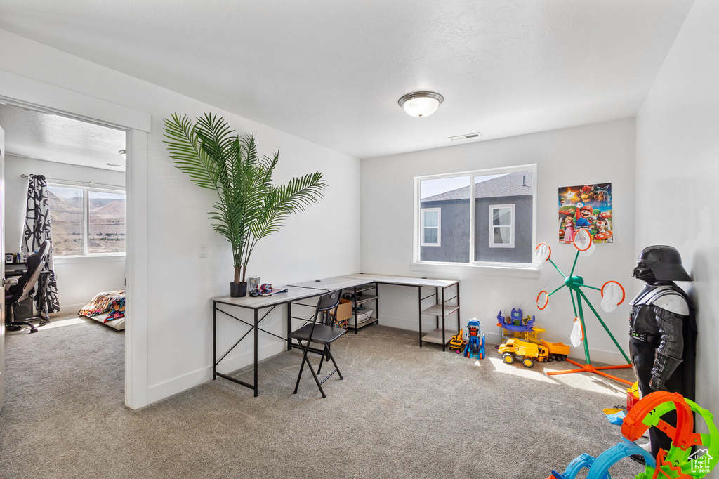Office area with carpet floors and healthy amount of natural light