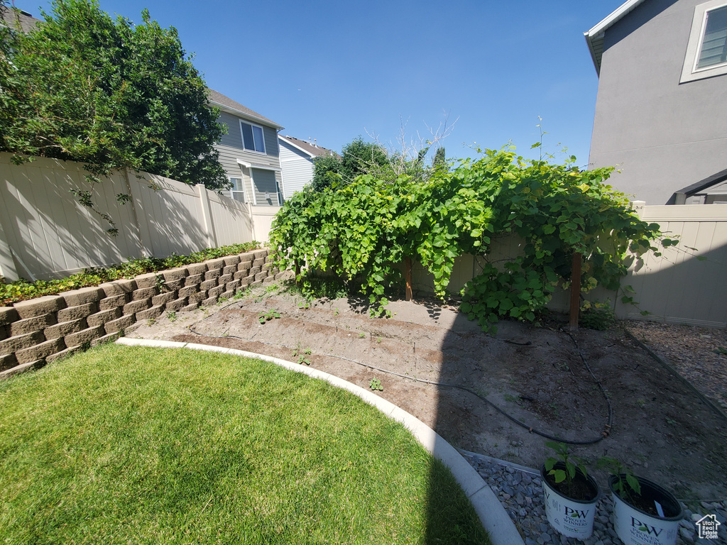 View of fenced backyard