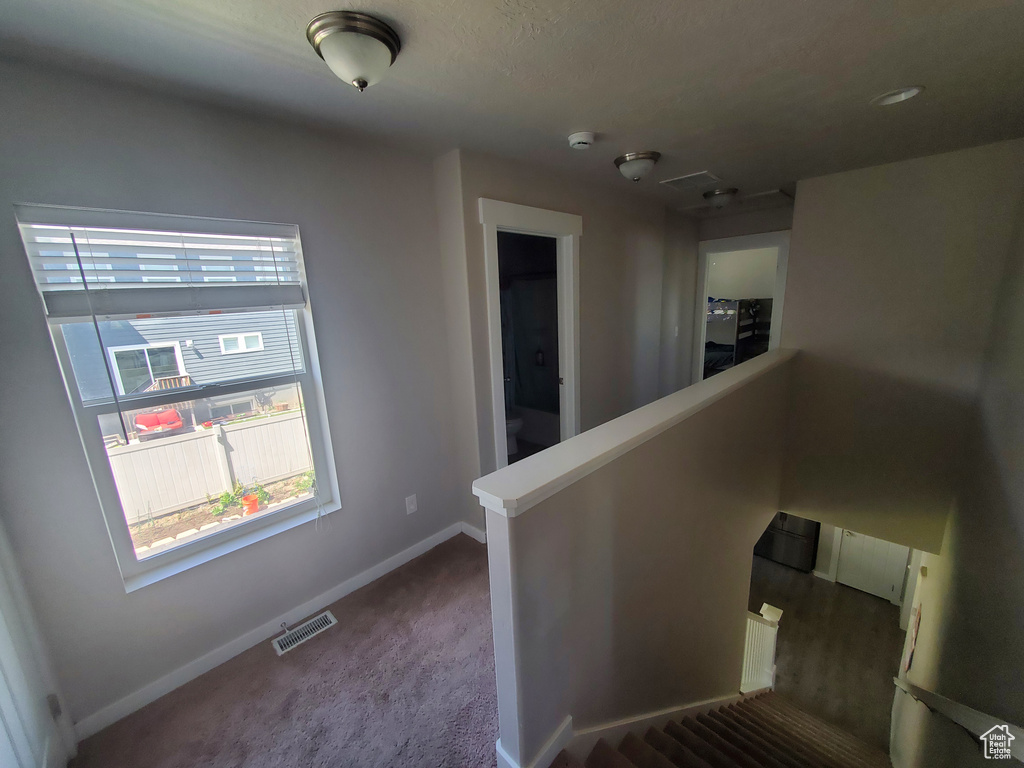Staircase with baseboards and carpet floors