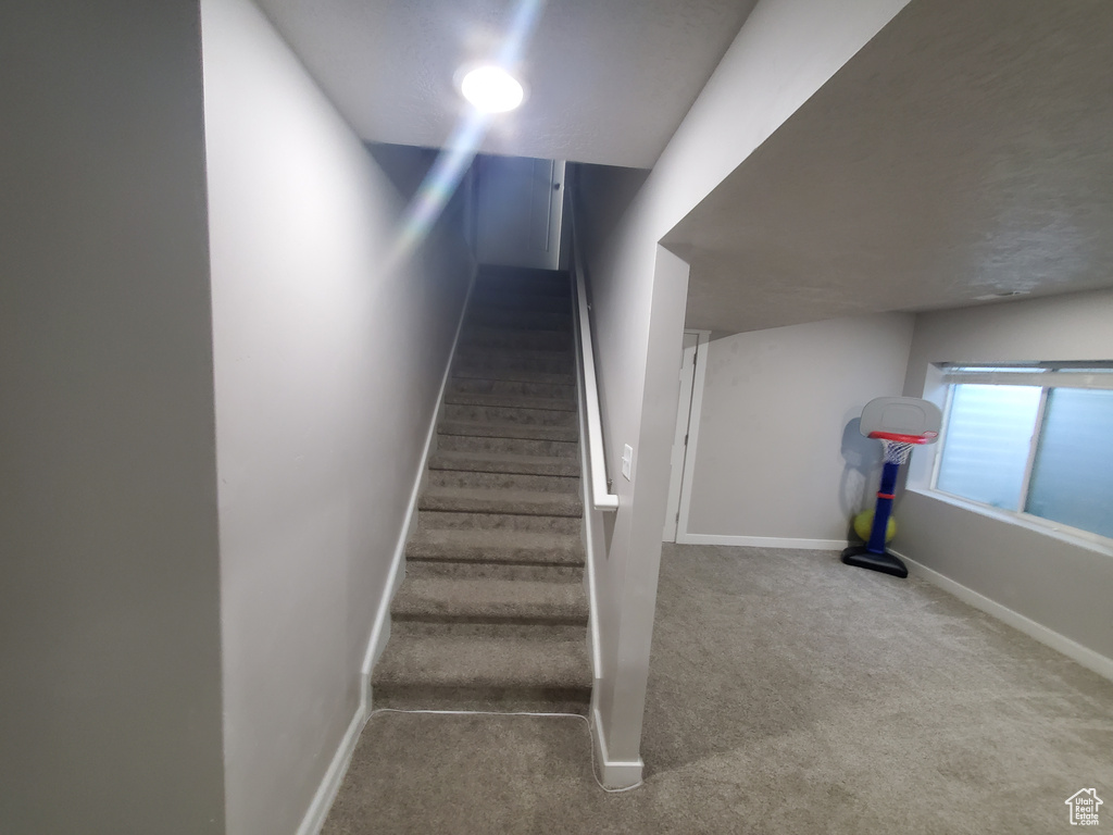 Stairway featuring baseboards and carpet floors