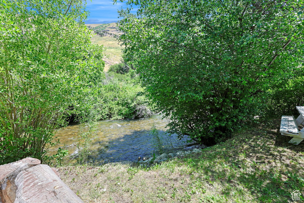 View of nature