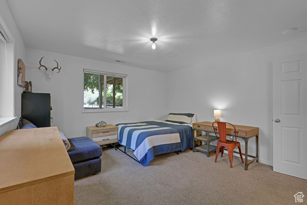 Bedroom with carpet floors and a textured ceiling