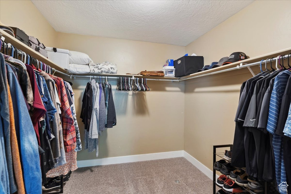 Walk in closet featuring carpet floors