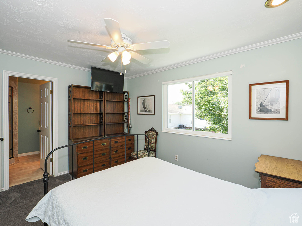 Carpeted bedroom with ornamental molding and ceiling fan