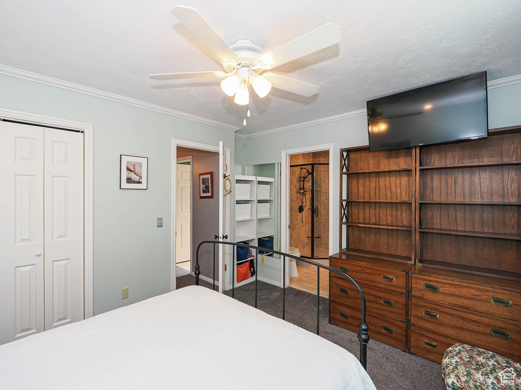 Bedroom with crown molding, carpet, ceiling fan, and a closet