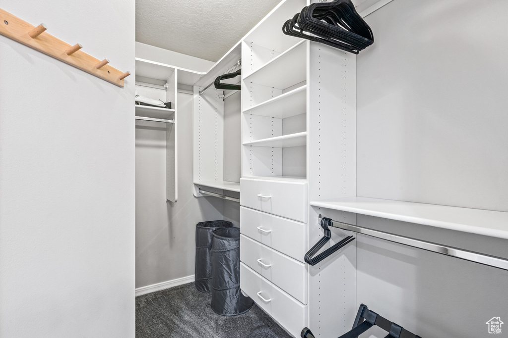 Spacious closet with dark colored carpet