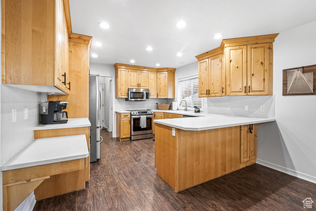 Kitchen with stainless steel appliances, a peninsula, dark wood-type flooring, recessed lighting, and light countertops