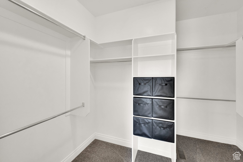 Spacious closet with carpet flooring