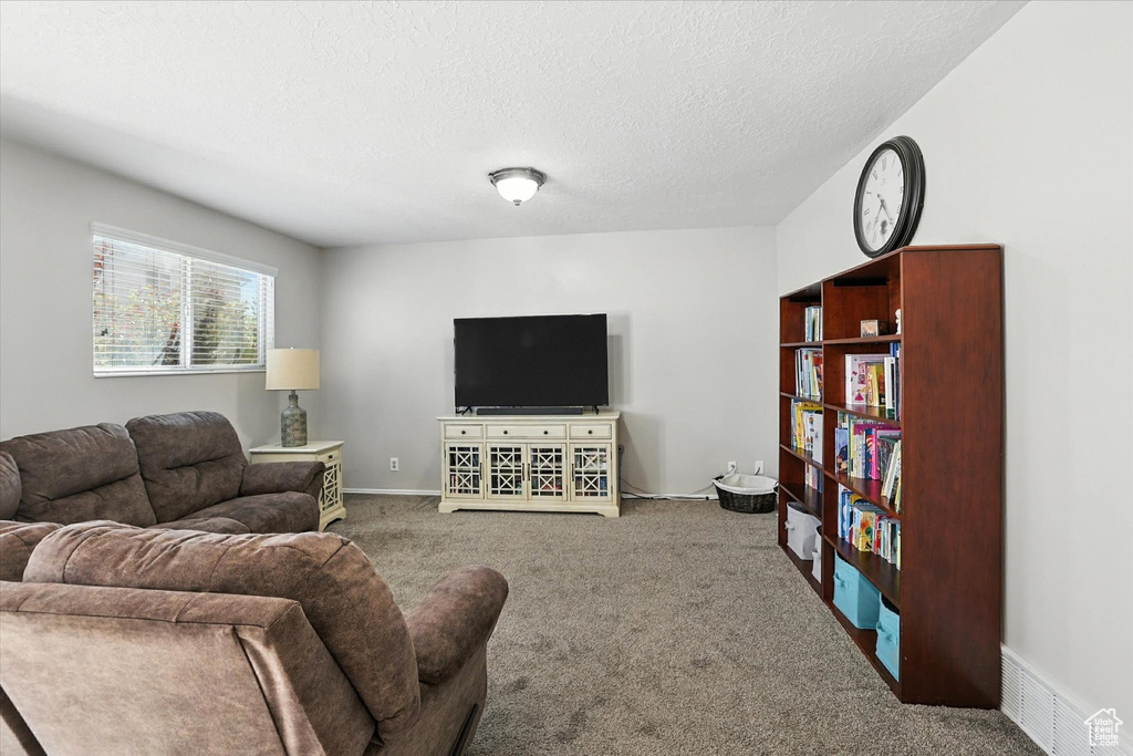 Living area featuring carpet flooring and a textured ceiling
