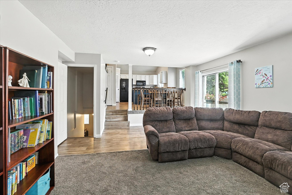 Living room featuring carpet flooring and a textured ceiling