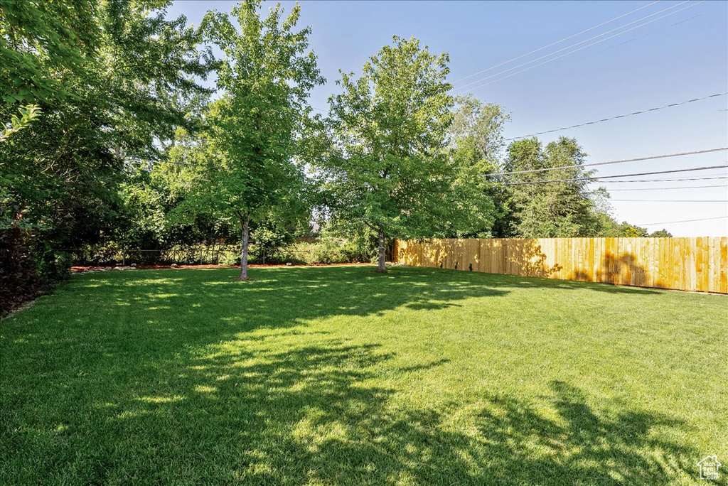 View of yard