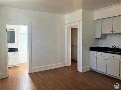 Kitchen with dark wood-style floors and dark countertops
