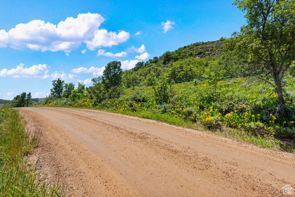 View of dirt / gravel road