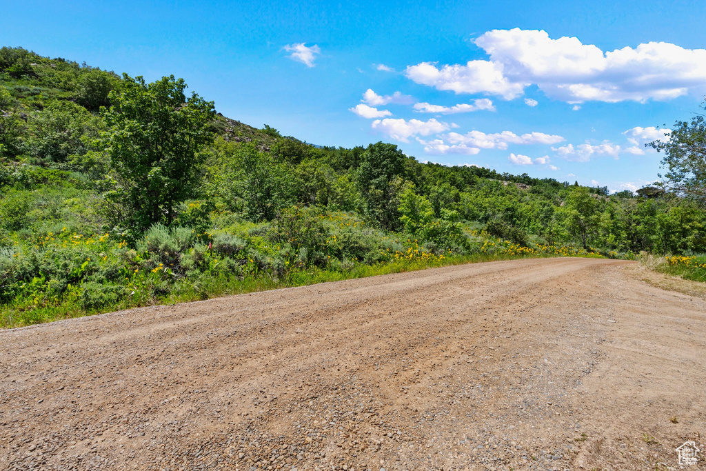 View of dirt / gravel road featuring a forest view