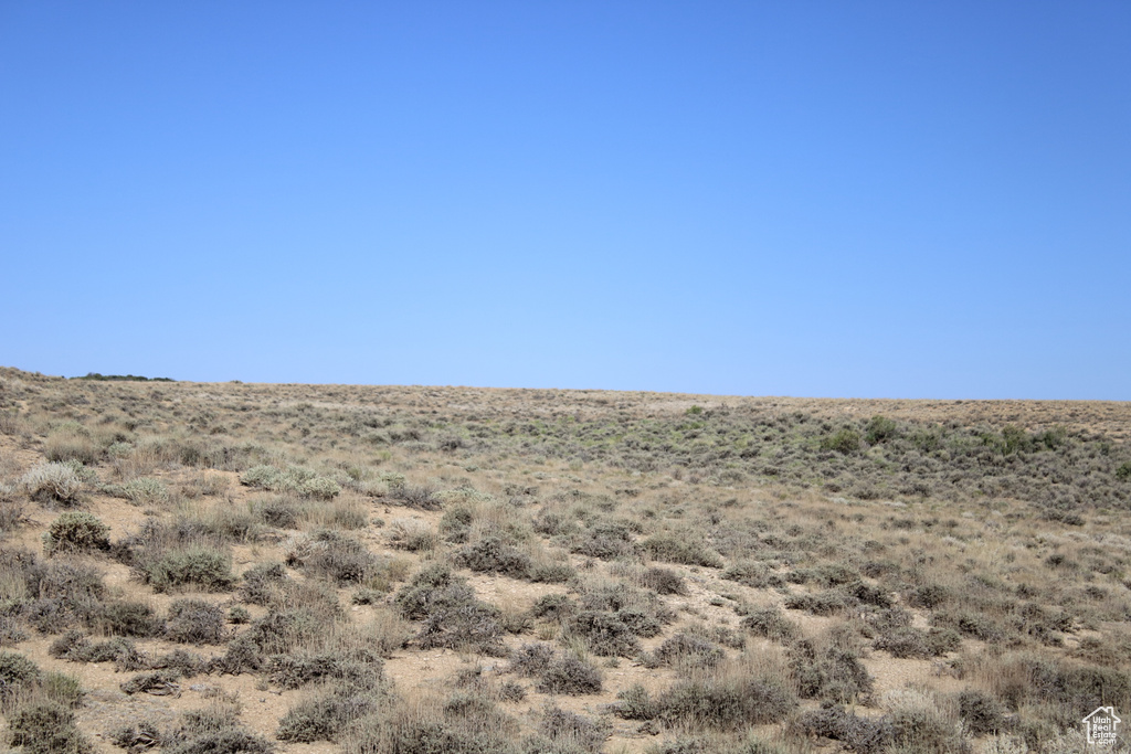 View of local wilderness featuring a desert landscape