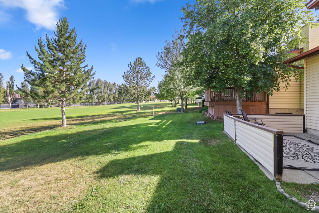 View of green lawn