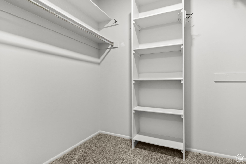 Walk in closet featuring carpet flooring