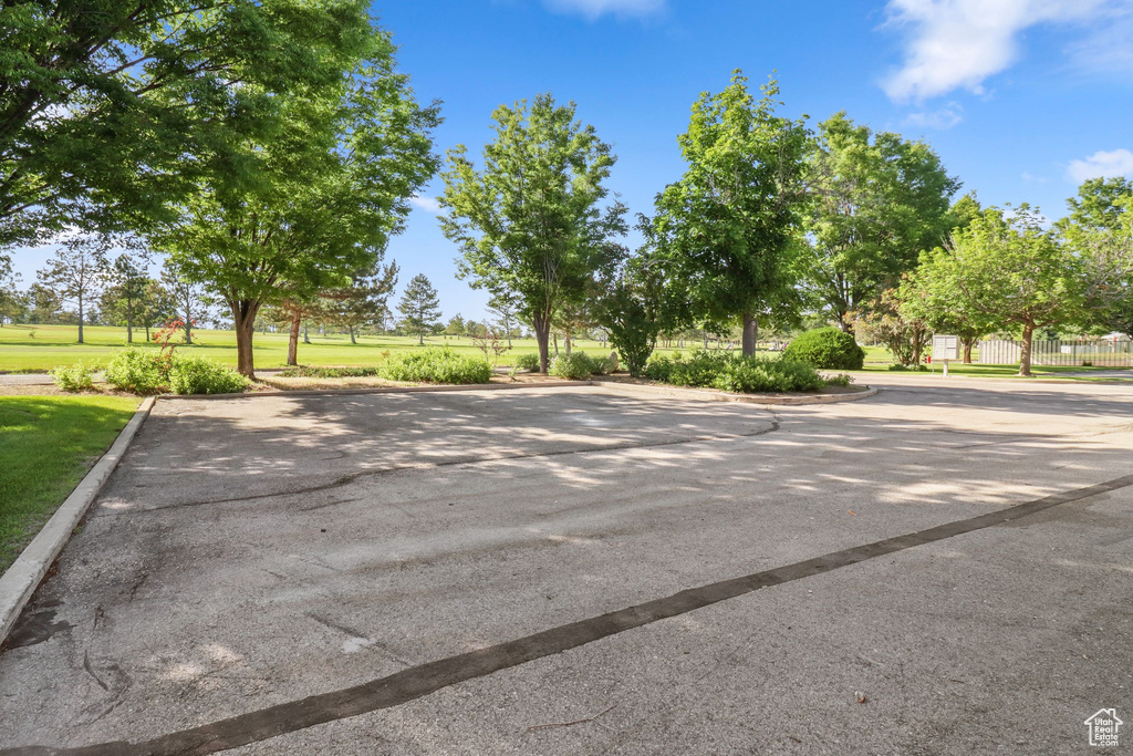 View of asphalt street with curbs