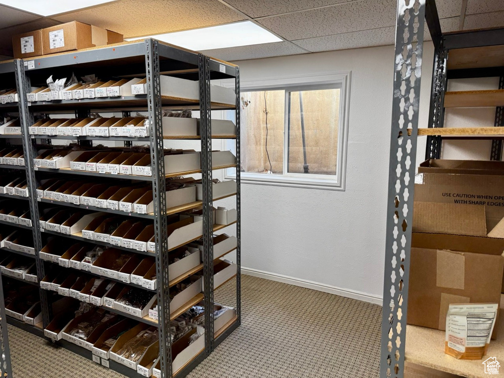 Wine cellar featuring carpet flooring and a drop ceiling