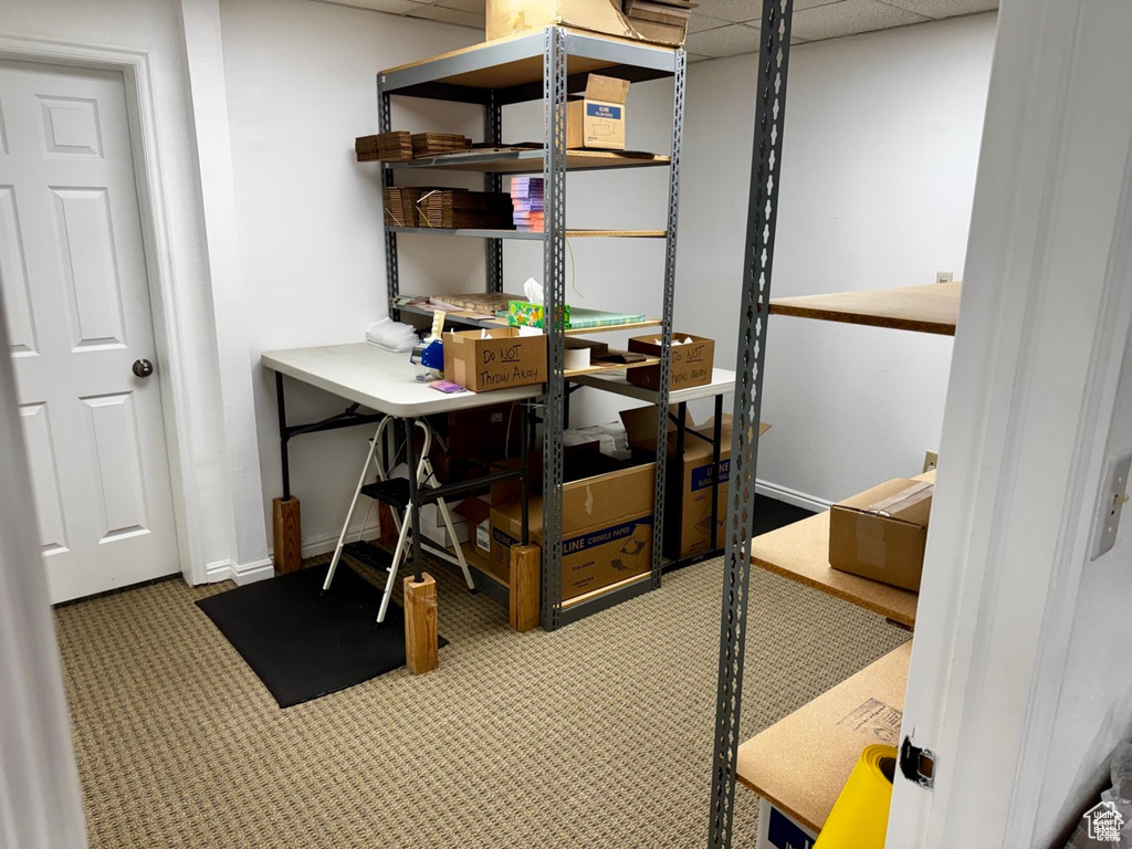 Carpeted office space with a paneled ceiling