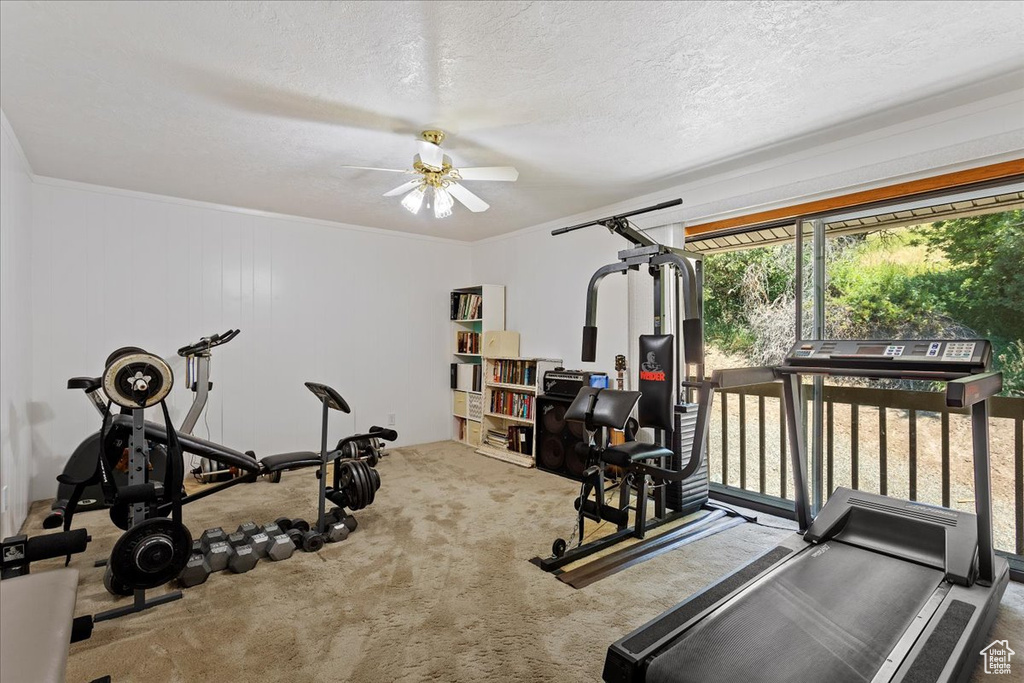 Exercise area featuring a ceiling fan, a textured ceiling, carpet floors, and crown molding