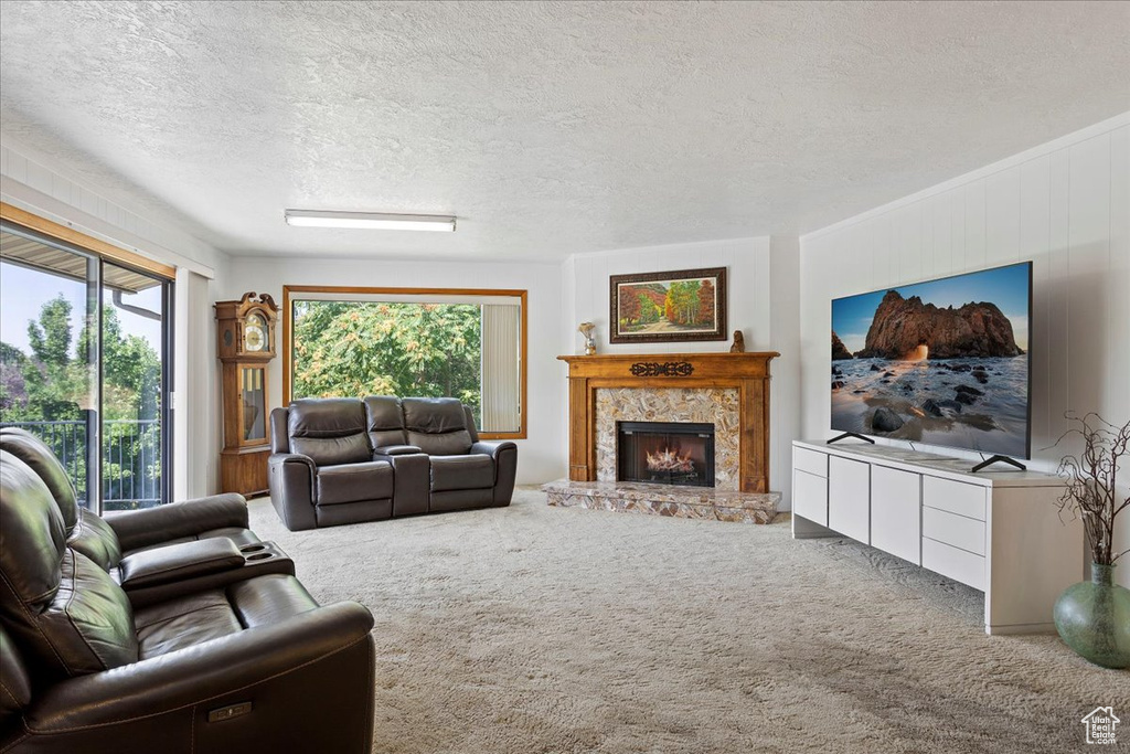 Living room with carpet, a stone fireplace, and a textured ceiling