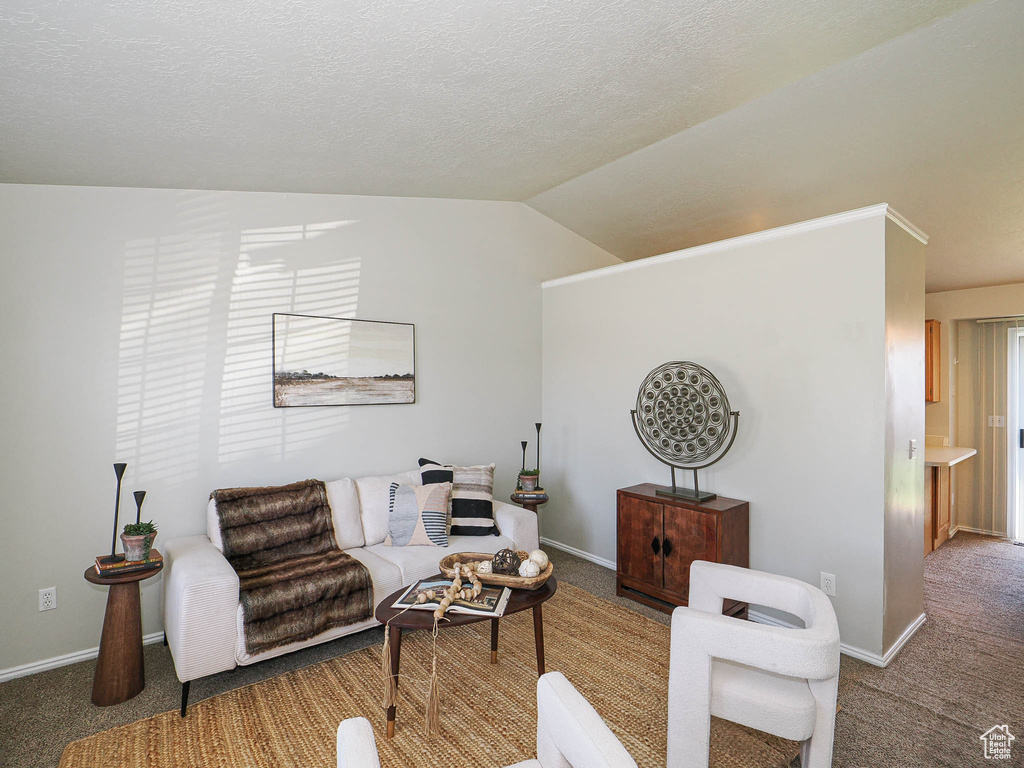 Carpeted living area featuring lofted ceiling and a textured ceiling