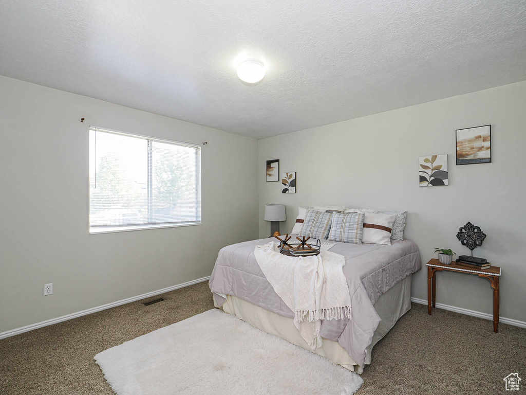 Bedroom featuring carpet flooring and a textured ceiling