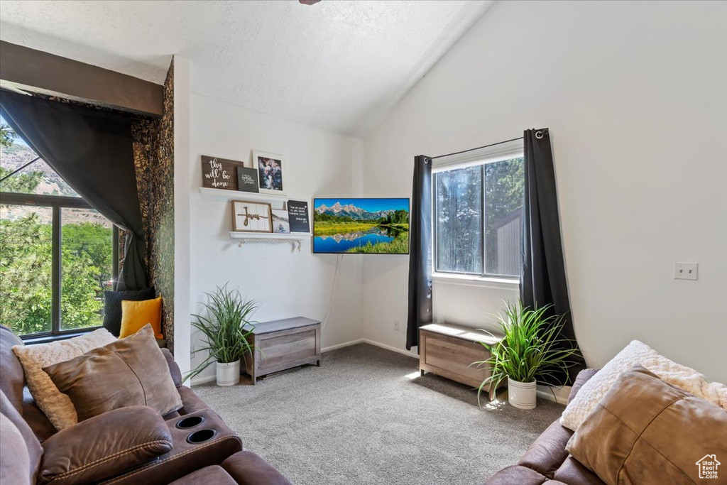 Living area with carpet, lofted ceiling, and a textured ceiling