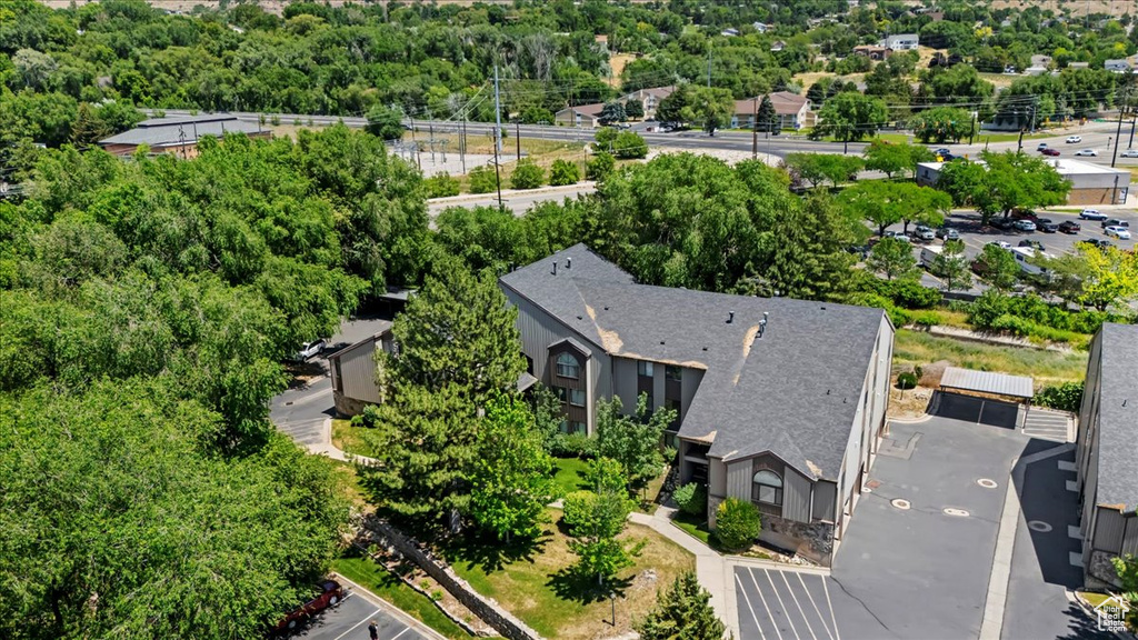 Bird\'s eye view