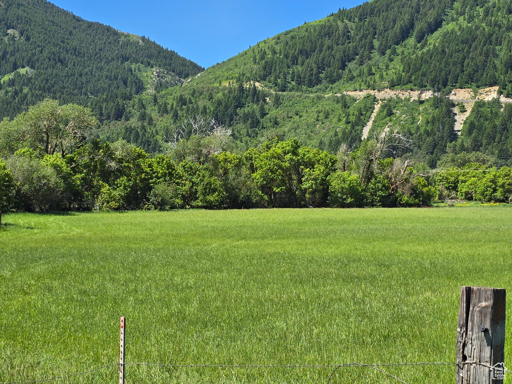 View of mountain background featuring a forest