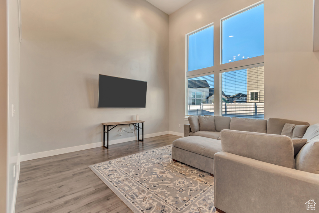 Living room featuring wood finished floors and a high ceiling