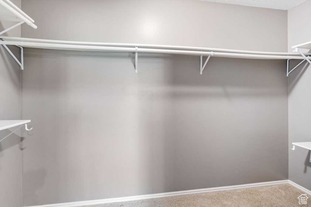 Spacious closet featuring carpet floors
