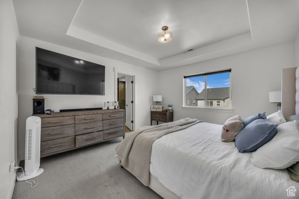 Bedroom with a raised ceiling and light colored carpet