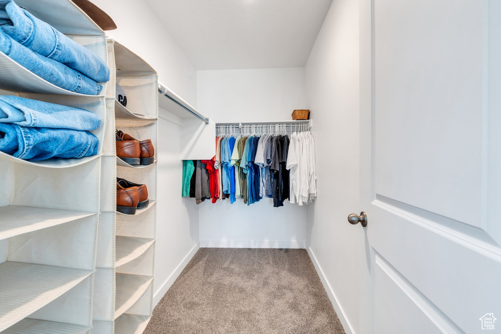 Spacious closet featuring carpet flooring