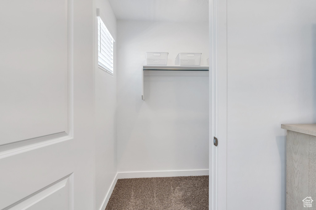 Spacious closet with carpet flooring