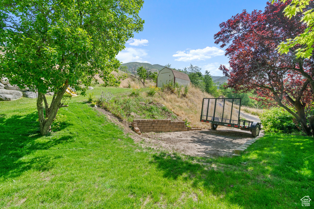 View of grassy yard with a storage shed and a mountain view