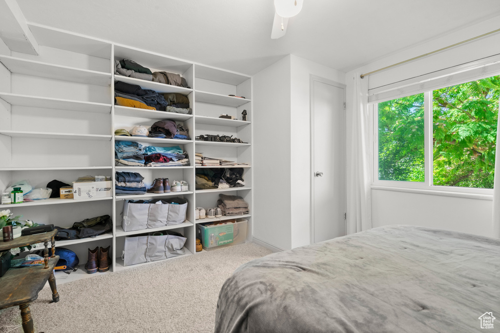 Bedroom featuring carpet and ceiling fan