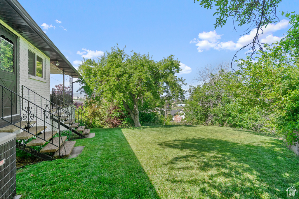 View of grassy yard with stairs