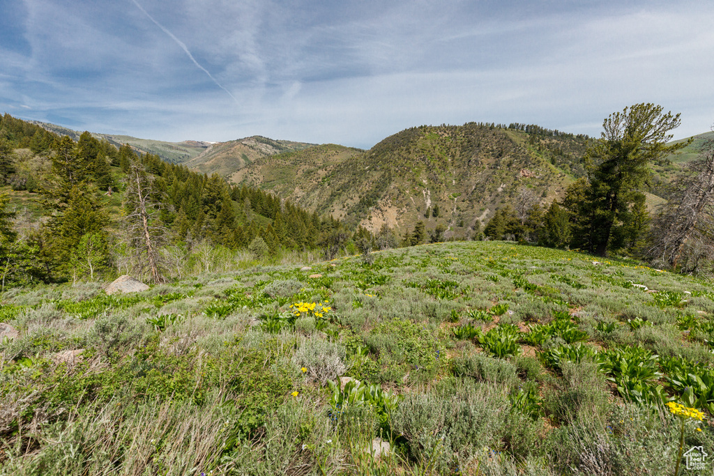 View of mountain backdrop