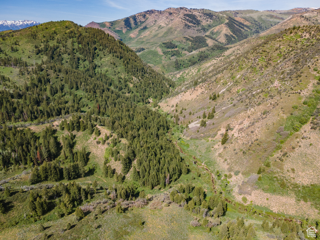 View of mountain background featuring a forest