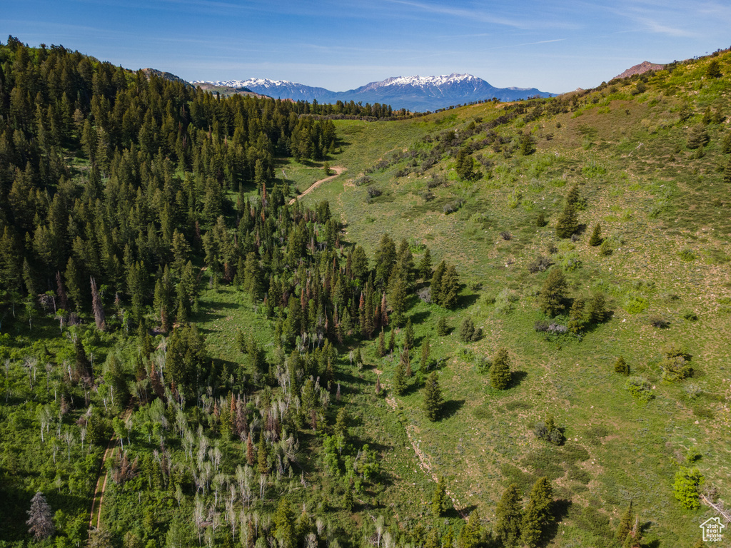 View of mountain background featuring a heavily wooded area